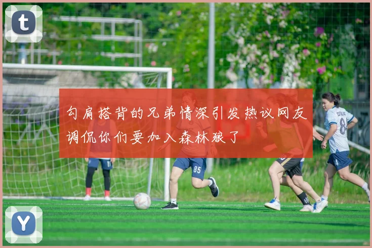 勾肩搭背的兄弟情深引发热议网友调侃你们要加入森林狼了